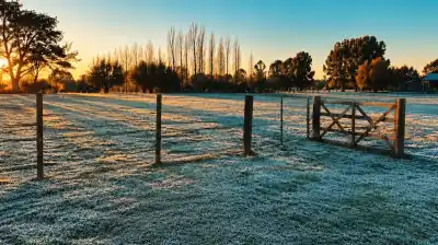 El frío polar que paraliza el campo: alertas naranjas y pérdidas millonarias en la zona núcleo