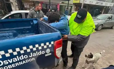 Persiguió a los ladrones que asaltaron su local y logró reducir a uno en plena calle
