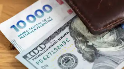 La estrategia que le ganó al dólar en el primer semestre: qué pasó con los plazos fijos