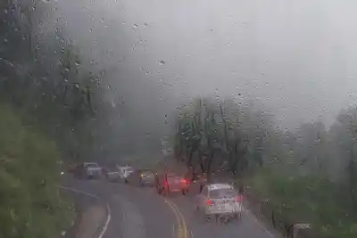 Alerta en la Ruta 307: el tramo más peligroso por la niebla que ya preocupa a Vialidad