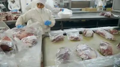 Cuota Hilton 2026/27: cuántas toneladas y qué empresas se llevaron el mayor trozo del pastel
