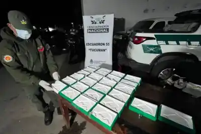 Un sello de delfín y cintas verdes: la marca que delató a los narcos en Tucumán