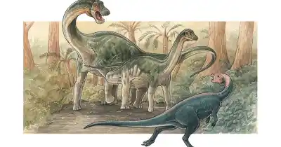 Descubren Una Nueva Especie De Dinosaurio: El Especial Homenaje Que Le Hicieron Con El Nombre
