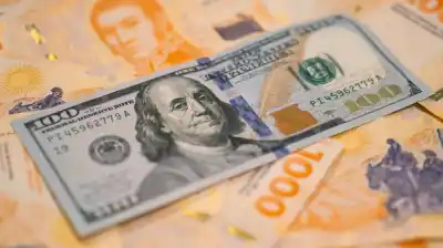 Se fugaron los pesos y llegaron los dólares: el dato del BCRA que preocupa