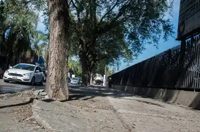 El cambio que se viene en el ex Abasto: veredas nuevas y árboles que desaparecen